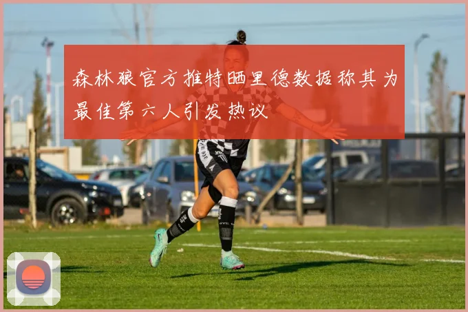 森林狼官方推特晒里德数据称其为最佳第六人引发热议